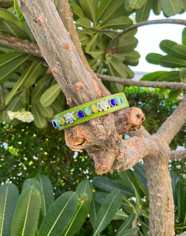 Adventure Green Collar